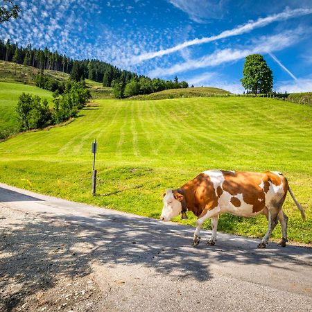 Bauernhaus Bichl Sankt Johann im Pongau Eksteriør bilde