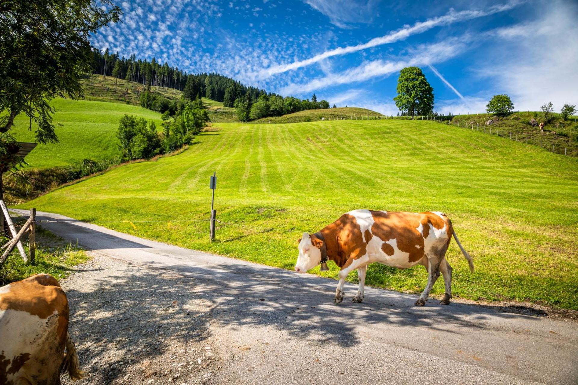 Bauernhaus Bichl Sankt Johann im Pongau Eksteriør bilde