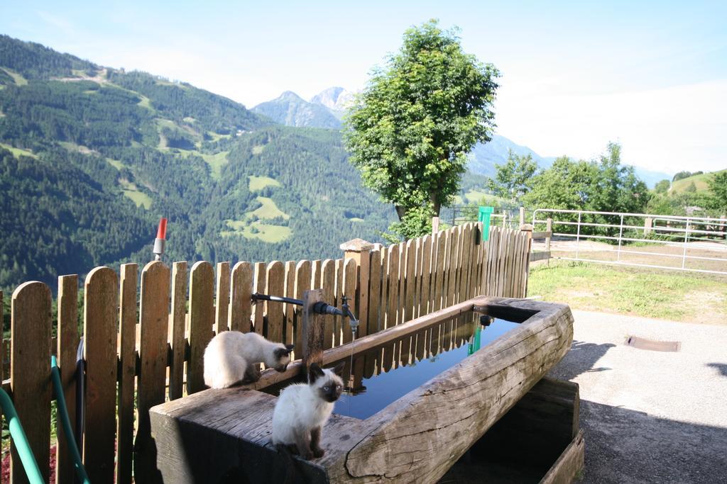 Bauernhaus Bichl Sankt Johann im Pongau Eksteriør bilde